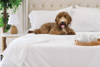 Trees & Hugs™ - Signature Seam White Organic Cotton Sheet set