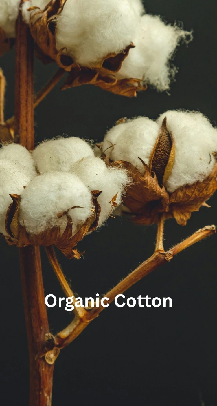 Organic_Cotton_15.jpg
