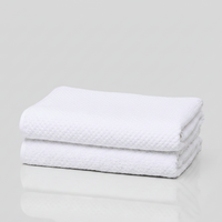 Organic Cotton Pebble Bath Towel Set of 2